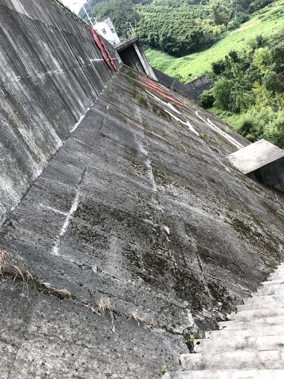1606285438671227.jpg